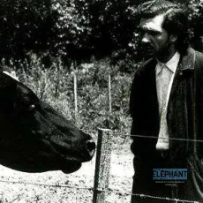 El lado oscuro del corazón