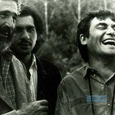El lado oscuro del corazón