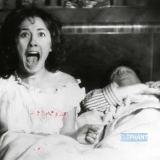 The Amityville Curse
