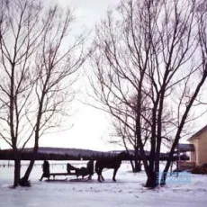 Mon oncle Antoine