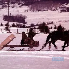 Mon oncle Antoine