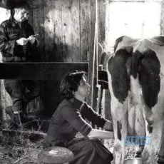 Mon oncle Antoine