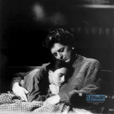 Le sexe des étoiles