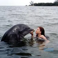 La grenouille et la baleine