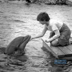 La grenouille et la baleine