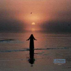 La grenouille et la baleine