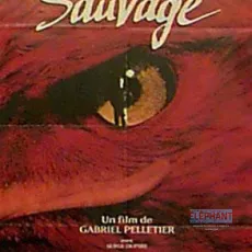 Automne sauvage