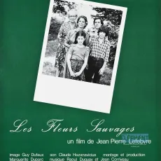 Les fleurs sauvages