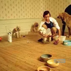 Les chats bottés