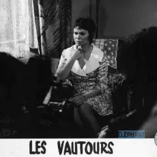 Les vautours