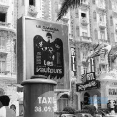 Les vautours