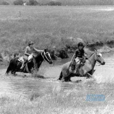 Fierro... l'été des secrets