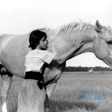 Fierro... l'été des secrets