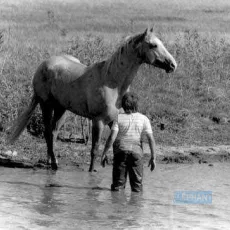 Fierro... l'été des secrets