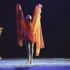 Elvis gratton xxx : la vengeance d'elvis wong