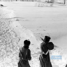 Quelques arpents de neige