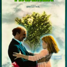 Tinamer