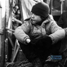 La guerre des tuques