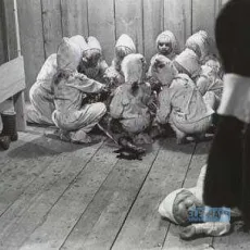 The Brood