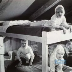 The Brood