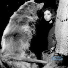 Bye bye Chaperon rouge