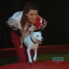 Daniel et les superdogs