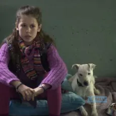 Daniel et les superdogs