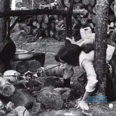 Les mâles