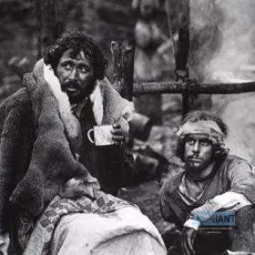 Les mâles