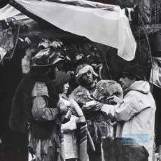 Les mâles