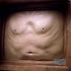 Videodrome
