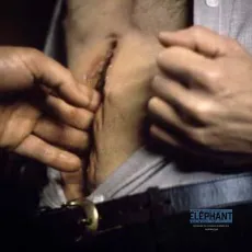 Videodrome