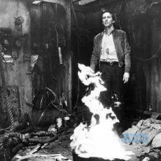 Videodrome