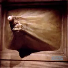 Videodrome