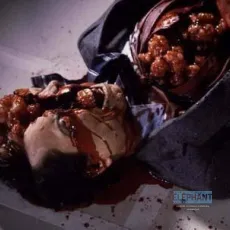 Videodrome