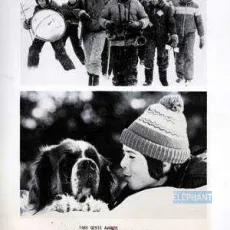 La guerre des tuques