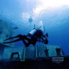 Un crabe dans la tête