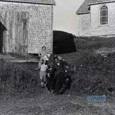 Les fous de Bassan