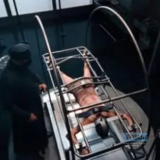 Martyrs