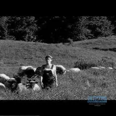 Les moutons de Jacob