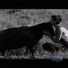 Les moutons de Jacob