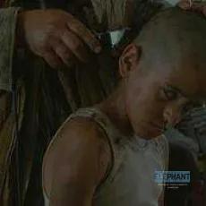 Incendies