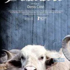 Bestiaire