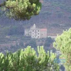 La vallée des larmes