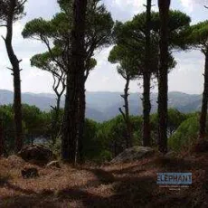 La vallée des larmes