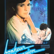 Bonheur d'occasion