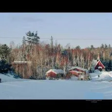 Chasse au Godard d'Abbittibbi