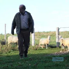 Le démantèlement