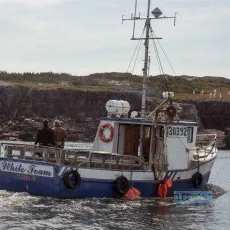 The Grand Seduction