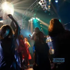 Discopathe